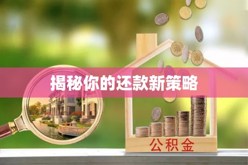 新和揭秘你的还款新策略