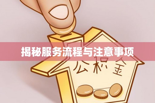 新和揭秘服务流程与注意事项