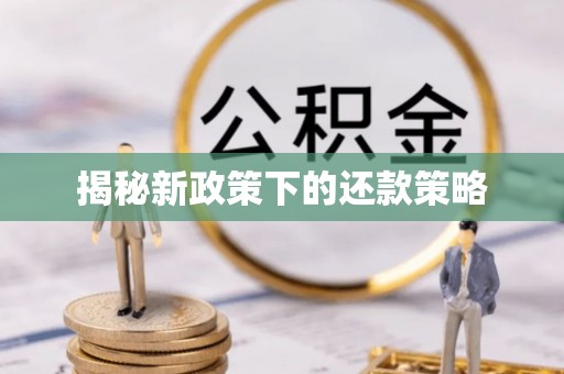 新和揭秘新政策下的还款策略