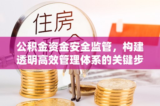 新和公积金资金安全监管，构建透明高效管理体系的关键步骤