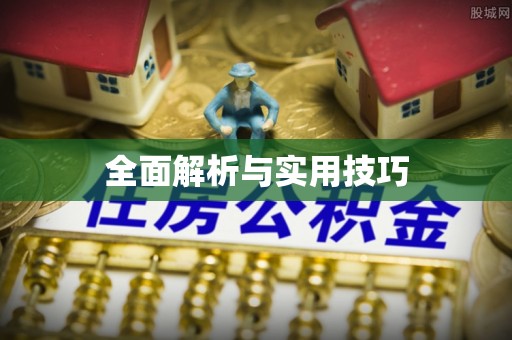 新和全面解析与实用技巧