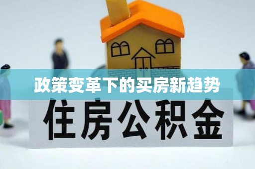 新和政策变革下的买房新趋势