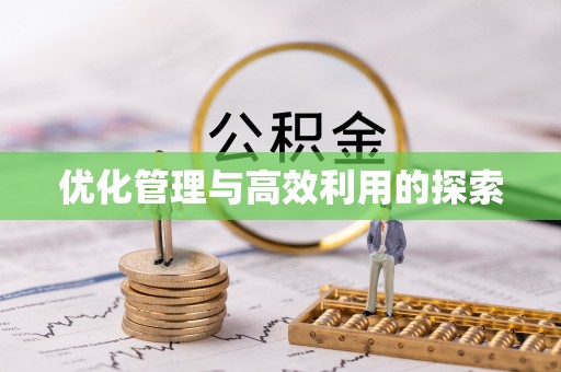 新和优化管理与高效利用的探索