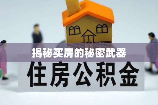 新和揭秘买房的秘密武器