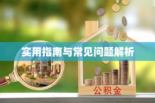 新和实用指南与常见问题解析