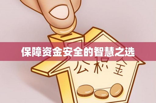 新和保障资金安全的智慧之选