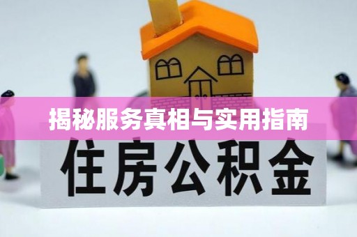 新和揭秘服务真相与实用指南